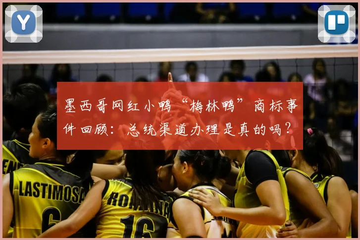 墨西哥网红小鸭“梅林鸭”商标事件回顾：总统渠道办理是真的吗？解析网红动物商标注册现状