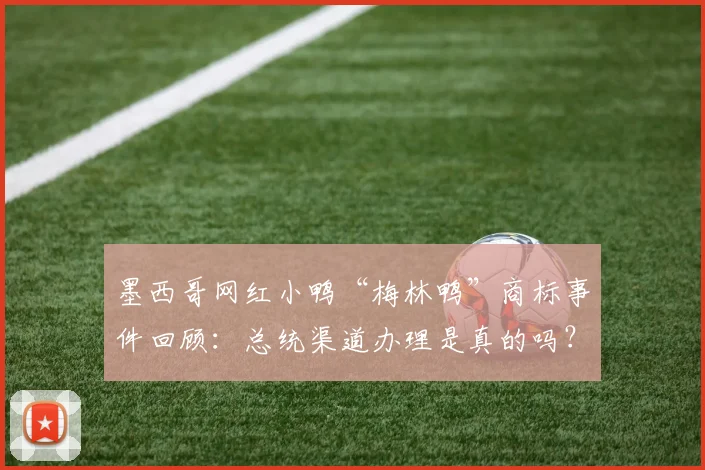 墨西哥网红小鸭“梅林鸭”商标事件回顾:总统渠道办理是真的吗?解析网红动物商标注册现状