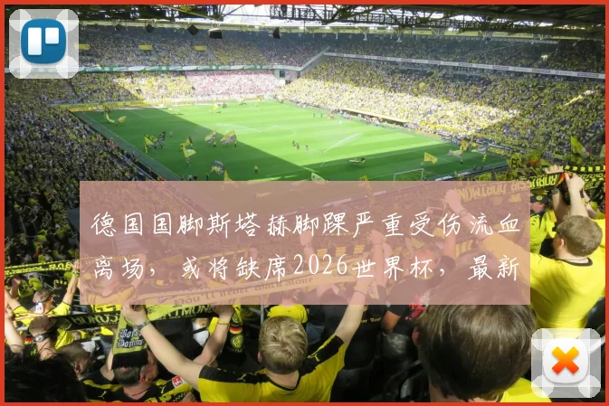 德国国脚斯塔赫脚踝严重受伤流血离场，或将缺席2026世界杯，最新伤情解读与后续影响分析